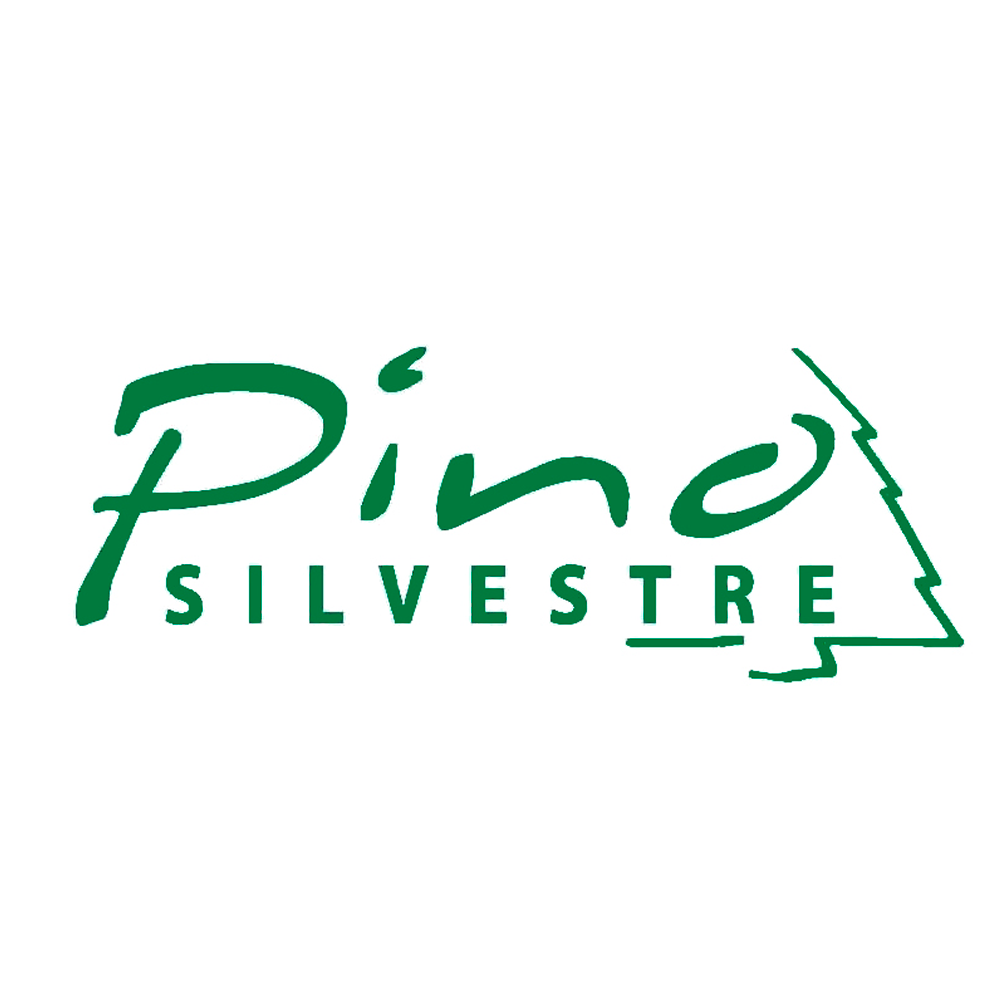 PINO SILVESTRE