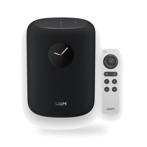Wiim Caixa Sound Smart 100W C