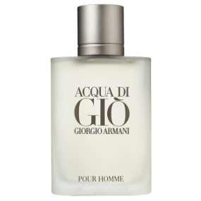 Perfume Armani Acqua Di Gio Masculino 100ml
